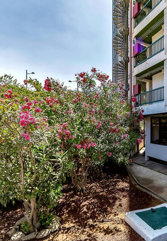 Apartamento Viña del Mar Ocean Playa de las Américas Exterior foto